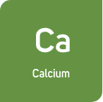 icon calcium